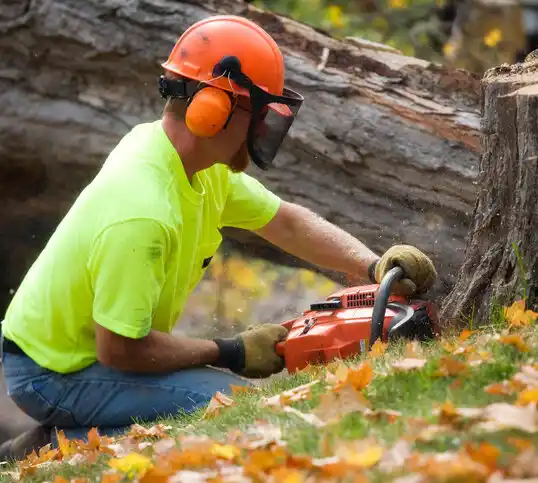 tree services Knob Noster